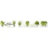 Frise adhésive décorative cuisine, motifs herbes aromatiques, 15 cm X 300 cm, autocollante.