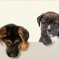 Frise adhésive Lanata GoodHome Chiens