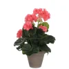 Geranium saumon artificiel ø20 x h.34 cm en pot Stan gris ø11,5 cm
