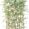 Haie Bambou Japanese artificiel h.160 cm