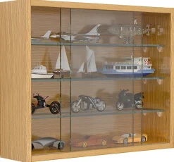 Hängevitrine Wandvitrine Glas Drivalo S