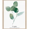 Image encadrée eucalyptus 24 x 30 cm