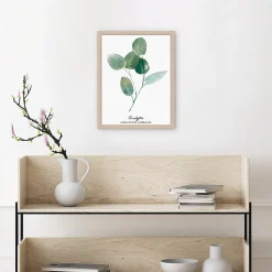 Image encadrée eucalyptus 24 x 30 cm