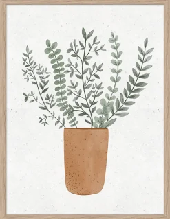 Image encadrée fougère en pot l.30 x H.40 cm Dada Art