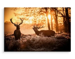 Image Sur Toile CERF Lever du Soleil 3D 120cm x 80cm - Parfait pour décorer votre salon, chambre ou bureau avec un design unique