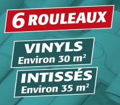 Lot de 2 Colle en Poudre pour Papiers Peints Vinyls et Intissés Semin, Boite de 300 g