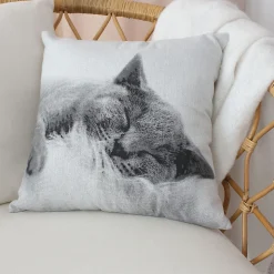 Lot de 2 Coussins déhoussables Chat, carré 40x40cm, Collection Vickie, CMADECO