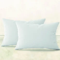Lot de 2 oreillers, coussins de garnissage - 40 x 60 cm - Blanc - Vivezen