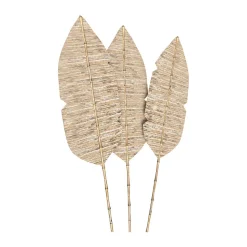 Lot de 3 palmes en jacinthe d'eau et bambou - Major