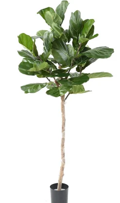 Lyrata tête sur tige artificiel plante déco