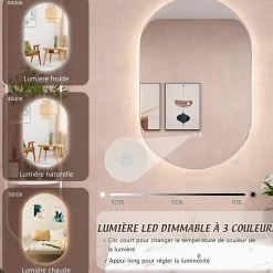 Miroir de Salle de Bain Miroir de Maquillage Mural avec Éclairage LED Fonction Anti Buée Miroir Ovale sans Cadre