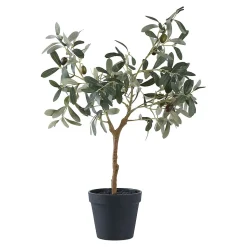 Olivier - Plante Artificielle Verte de 61 cm pour Décoration Intérieure