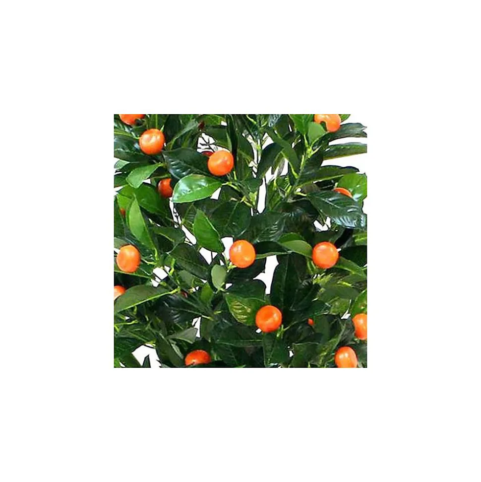 Oranger artificiel 120 cm - - Type: Fleurs & plantes artificielles