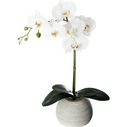 Orchidée artificielle - pot en ciment - H53 cm - Atmosphera