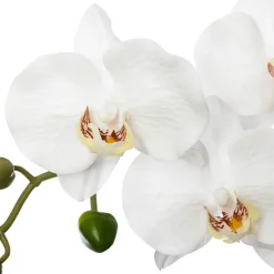 Orchidée artificielle - pot en ciment - H53 cm - Atmosphera