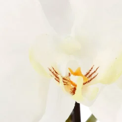 Orchidée artificielle - pot céramique H115 cm - Atmosphera