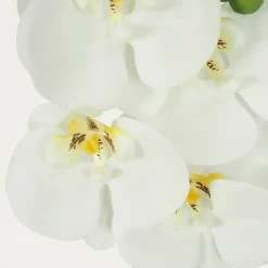 Orchidée artificielle blanche 35cm