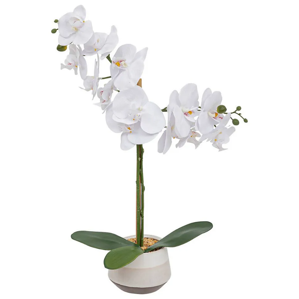 Orchidée artificielle Clera H52cm blanc - Atmosphera