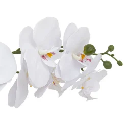 Orchidée artificielle Clera H52cm blanc - Atmosphera