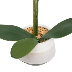 Orchidée artificielle Clera H52cm blanc - Atmosphera