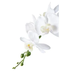 Orchidée artificielle réaliste verte et blanche - Plante décorative de 49 cm