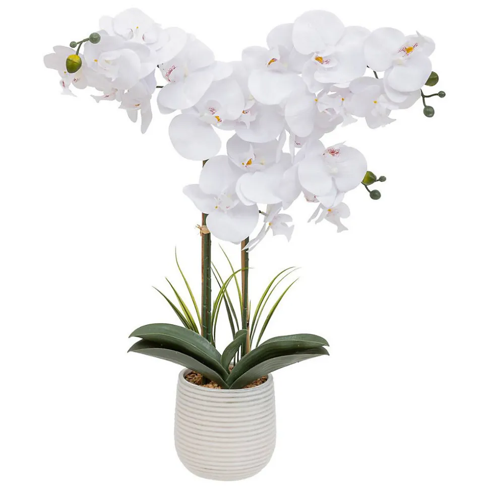 Orchidée artificielle Riva H60cm blanc - Atmosphera