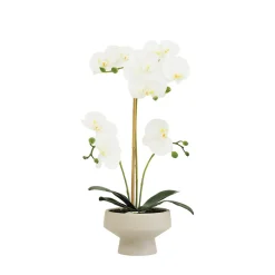 Orchidée artificielle toucher naturel 45cm