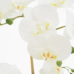 Orchidée artificielle toucher naturel 45cm