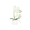 Orchidée artificielle toucher naturel 40cm