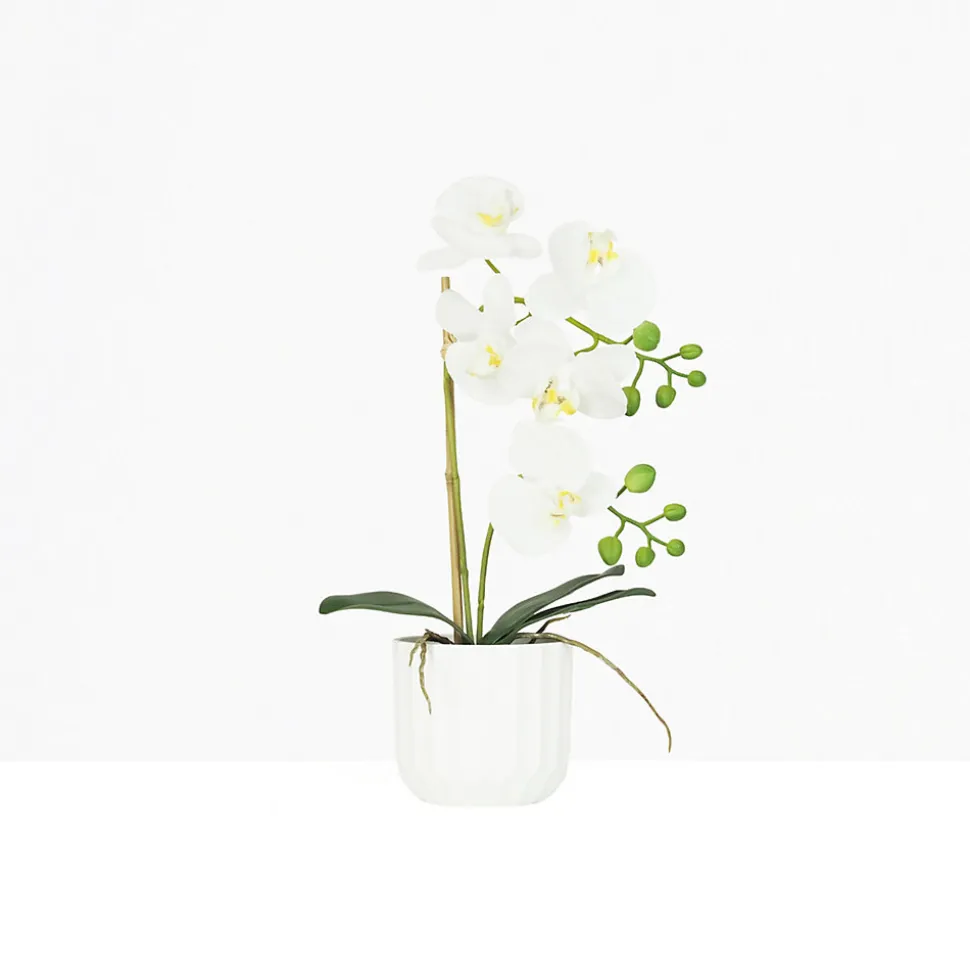 Orchidée artificielle toucher naturel 40cm