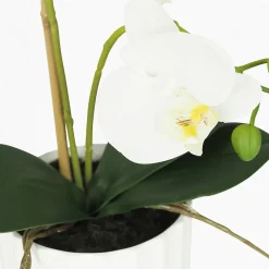 Orchidée artificielle toucher naturel 40cm