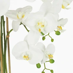 Orchidée artificielle toucher naturel 100cm