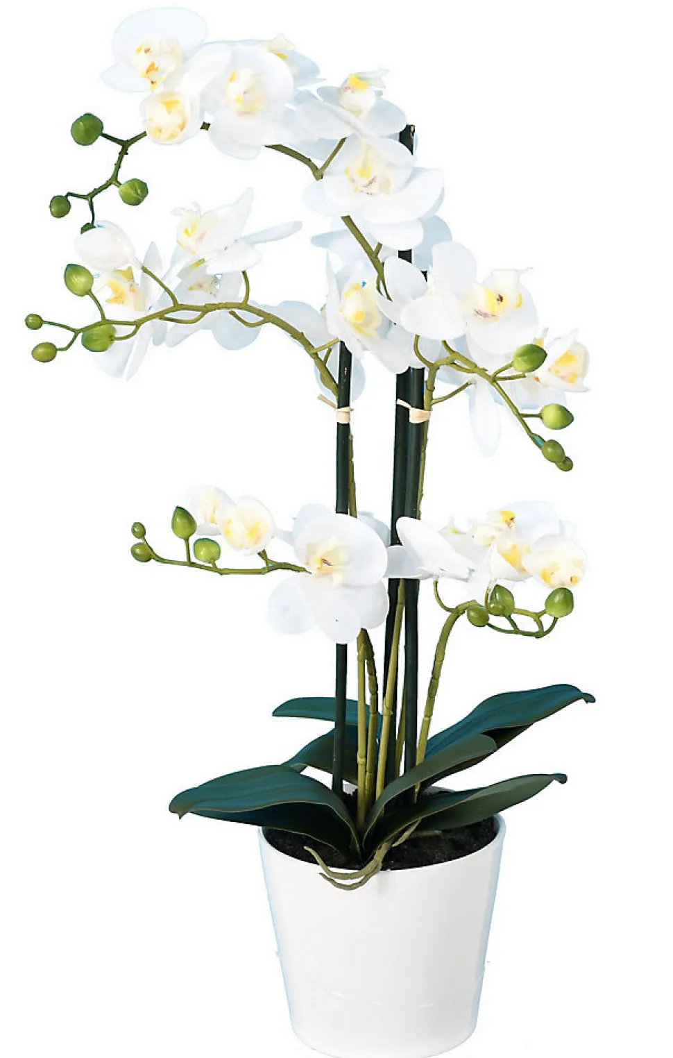 Orchidée Phalaenopsis Artificielle en pot