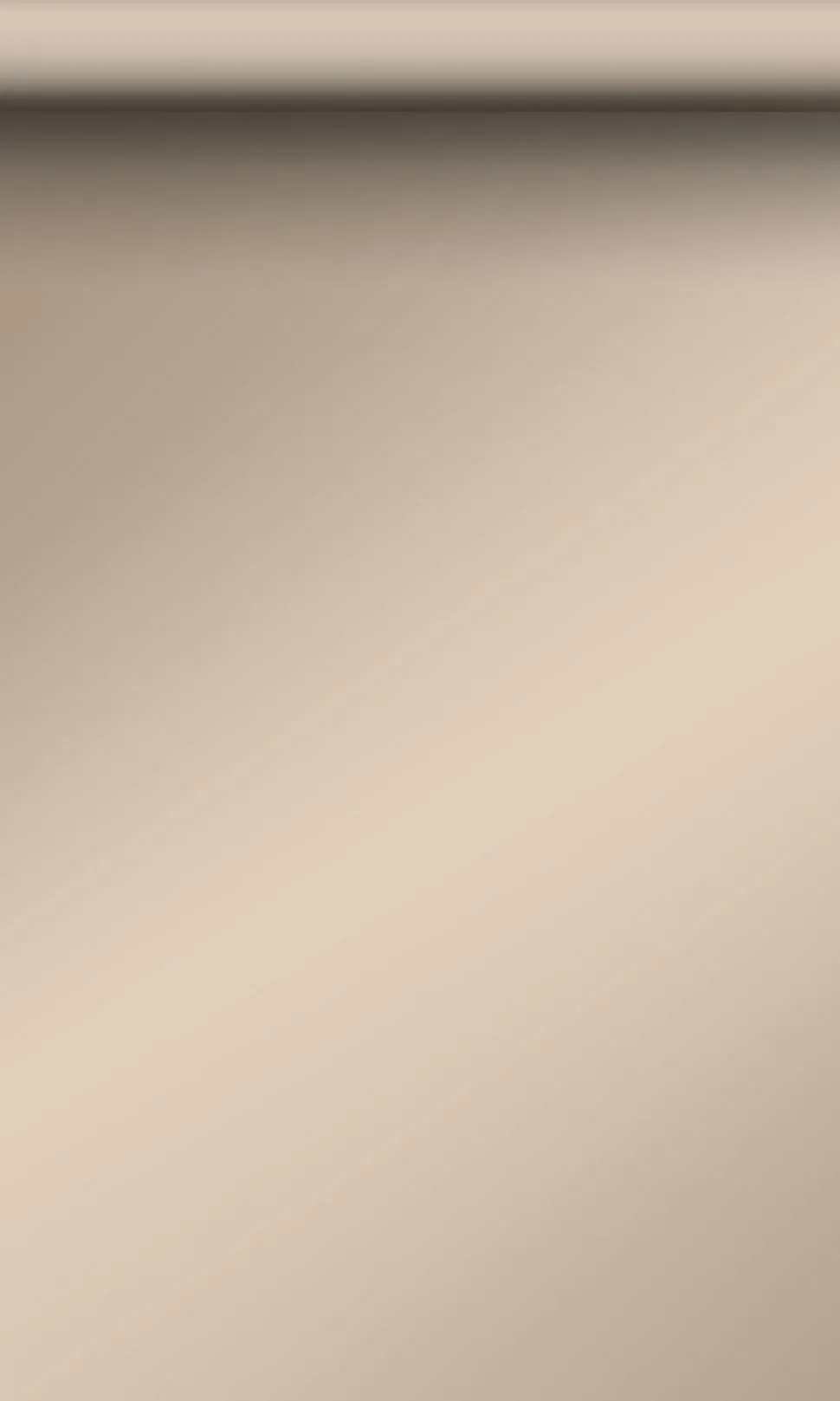 Origin Wallcoverings papier peint uni bronze brillant - 53 cm x 10.05 m - 345707