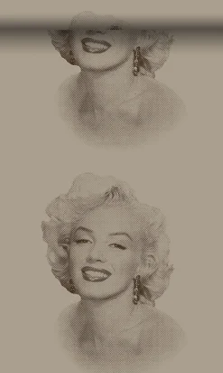 Origin Wallcoverings papier peint Marilyn Monroe bronze brillant - 53 cm x 10.05 m - 326351
