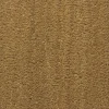 Paillasson - Tapis brosse Coco - Ecru - Ep, 23 mm - Rouleau de 2m x 3m