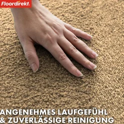 Paillasson Domenico Tapis de propreté élégant et pratique Beige 50 x 80 cm - Floordirekt