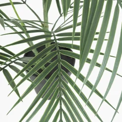 Palmier artificiel areca en pot 73cm