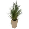 Palmier artificiel en pot Wonj H142cm - Atmosphera