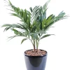 Palmier Parlour artificiel avec pot décoratif