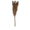 Pampas laineuses sechées H.75cm, 7 pièces JBY creation