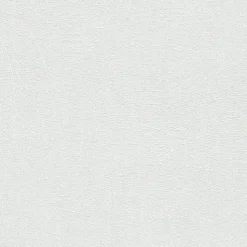 Papier peint à peindre intissé, effet griffé L.1000 x l.53cm Erismann