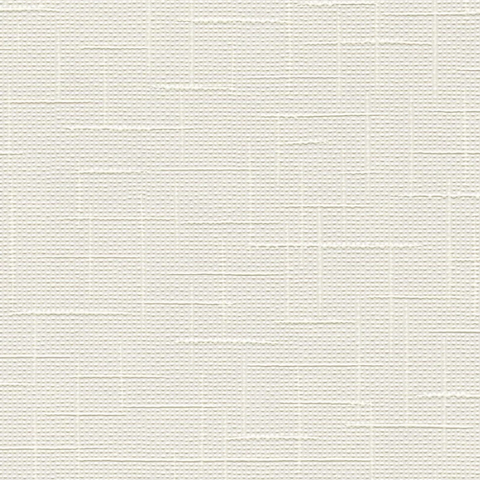 Papier peint à peindre vinyle intissé texturé blanc L. 2500 x l. 106 cm GoodHome Laurus