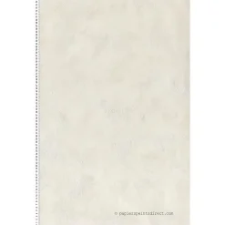 Papier peint Aquamura - LTC-51123206 - Beige - Intissé - Uni