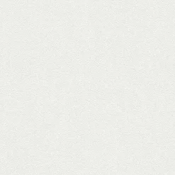 Papier peint dupplex vinyle sur intissé Wampi GoodHome blanc