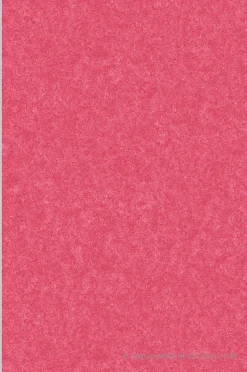 Papier peint expansé sur intissé Uni L.10.05 x l.0.53 m. - Réf. SP15566