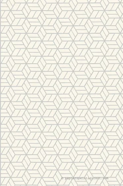 Papier peint expansé sur intissé Géométrique L.10.05 x l.0.53 m. - Réf. SP14663