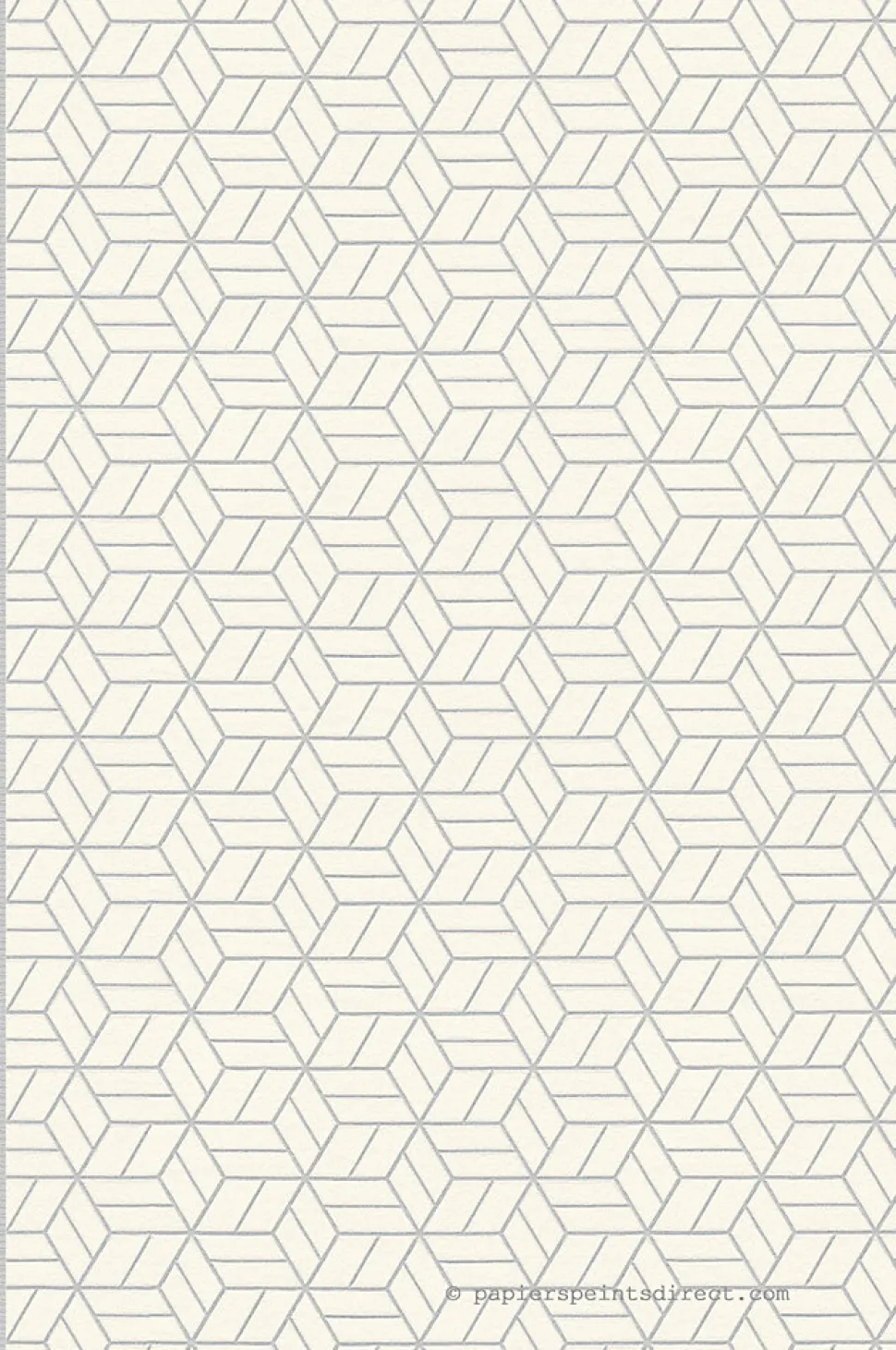 Papier peint expansé sur intissé Géométrique L.10.05 x l.0.53 m. - Réf. SP14663
