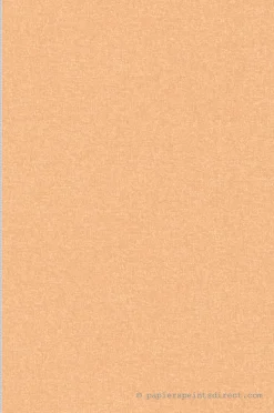 Papier peint expansé sur intissé Uni L.10.05 x l.0.53 m. - Réf. AS-392168