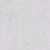 Papier peint expansé sur intissé Trompe l'oeil L.10.05 x l.0.53 m. - Réf. SP14642
